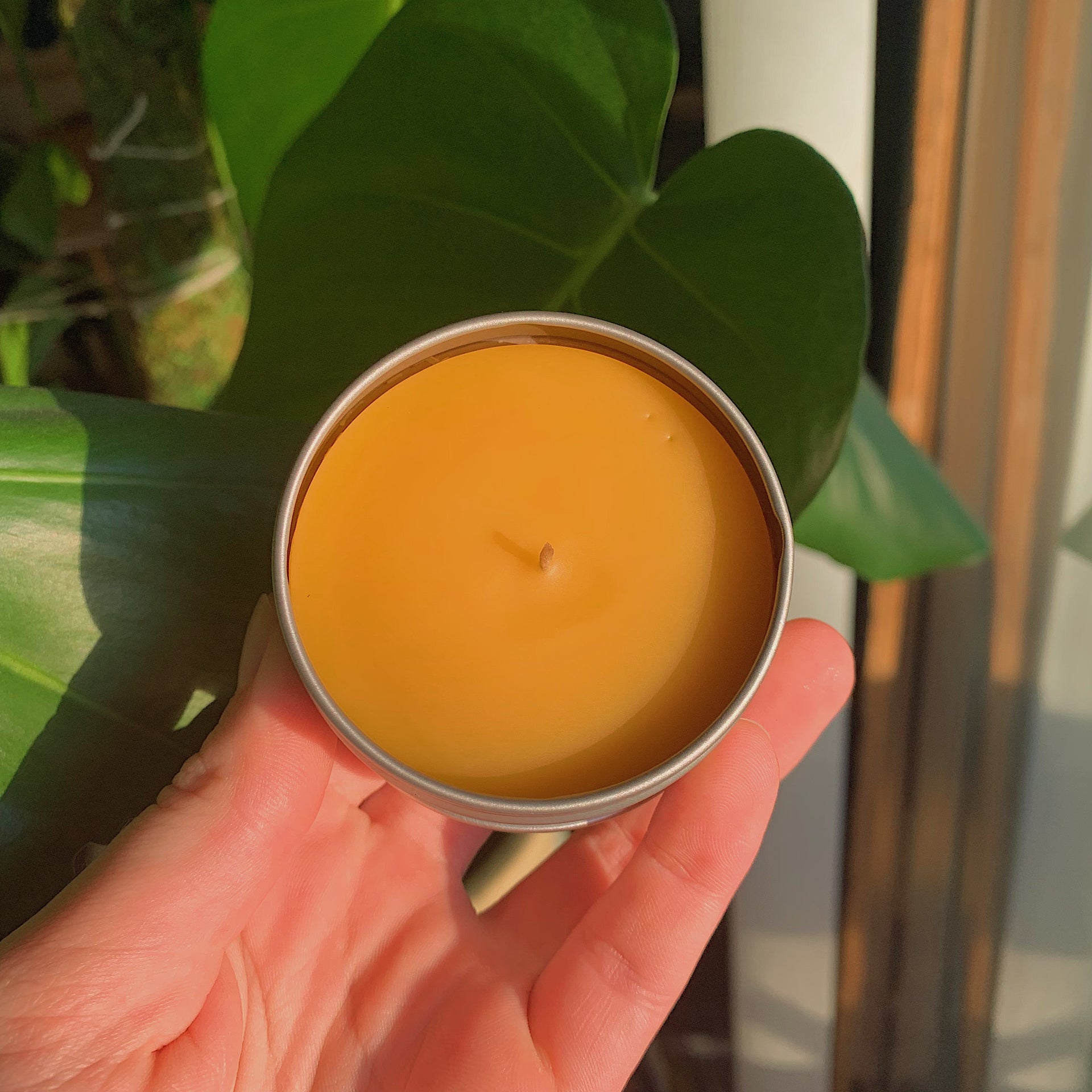 Beeswax Candles – Wild Nectar Honey